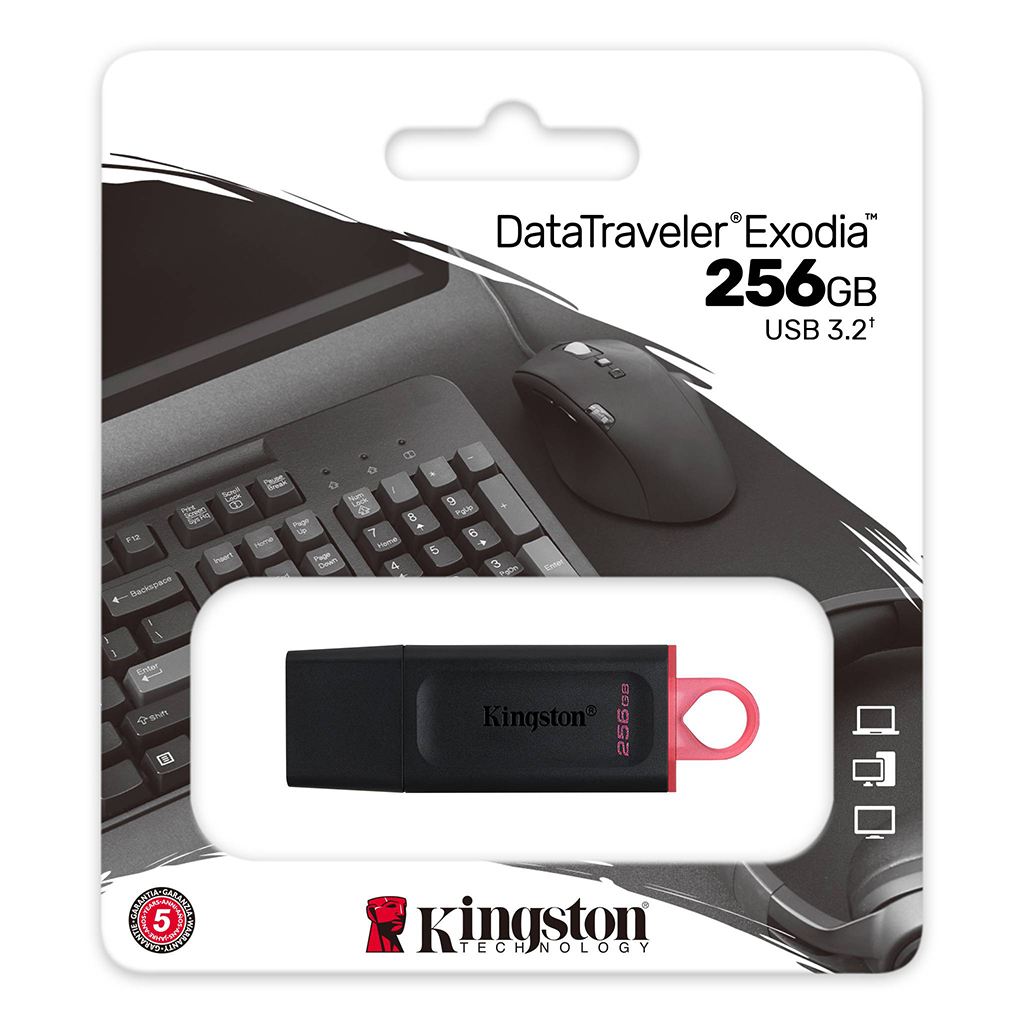 Kingston DataTraveler Exodia 256GB USB Memory Stick USB3.2 Gen 1 DTX 256GB